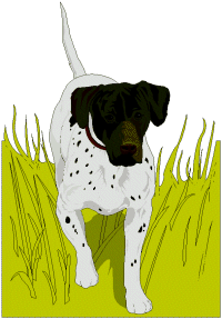hunting dogs